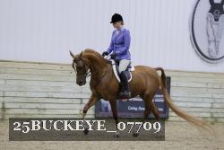 25BUCKEYE_07709 thumbnail