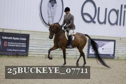 25BUCKEYE_07711 thumbnail