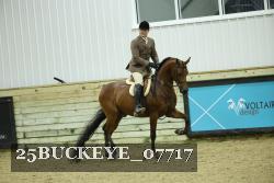 25BUCKEYE_07717 thumbnail