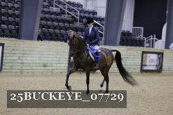 25BUCKEYE_07729 thumbnail