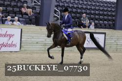 25BUCKEYE_07730 thumbnail