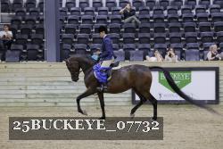 25BUCKEYE_07732 thumbnail