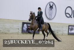 25BUCKEYE_07264 thumbnail
