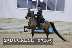25BUCKEYE_07265 thumbnail