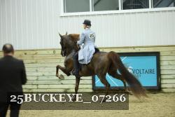 25BUCKEYE_07266 thumbnail