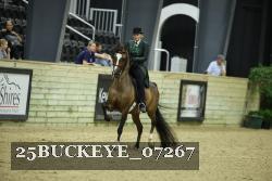 25BUCKEYE_07267 thumbnail