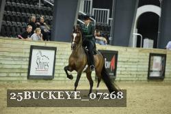 25BUCKEYE_07268 thumbnail