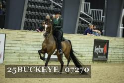 25BUCKEYE_07270 thumbnail