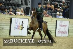 25BUCKEYE_07271 thumbnail