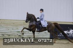 25BUCKEYE_07272 thumbnail