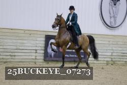 25BUCKEYE_07273 thumbnail