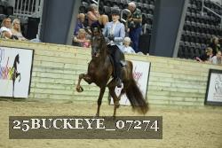 25BUCKEYE_07274 thumbnail