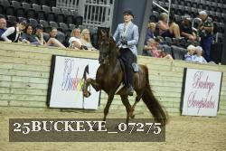 25BUCKEYE_07275 thumbnail