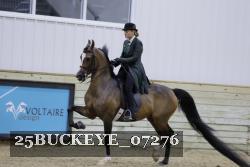 25BUCKEYE_07276 thumbnail