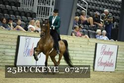 25BUCKEYE_07277 thumbnail