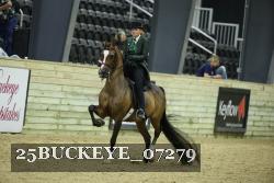 25BUCKEYE_07279 thumbnail