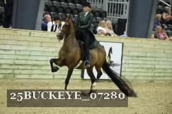 25BUCKEYE_07280 thumbnail
