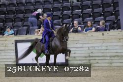 25BUCKEYE_07282 thumbnail