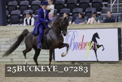 25BUCKEYE_07283 thumbnail
