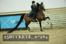 25BUCKEYE_07284 thumbnail