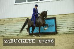 25BUCKEYE_07286 thumbnail