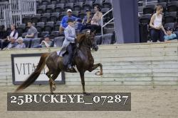 25BUCKEYE_07287 thumbnail