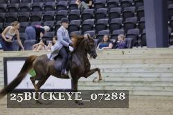 25BUCKEYE_07288 thumbnail