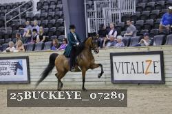 25BUCKEYE_07289 thumbnail