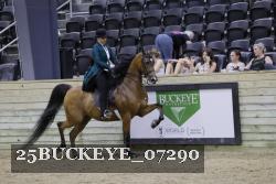 25BUCKEYE_07290 thumbnail