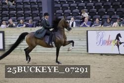 25BUCKEYE_07291 thumbnail