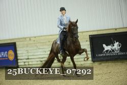 25BUCKEYE_07292 thumbnail