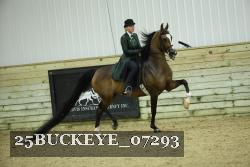 25BUCKEYE_07293 thumbnail