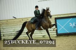 25BUCKEYE_07294 thumbnail