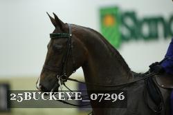 25BUCKEYE_07296 thumbnail