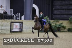 25BUCKEYE_07300 thumbnail