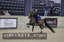 25BUCKEYE_07301 thumbnail