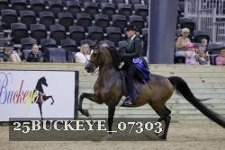 25BUCKEYE_07303 thumbnail
