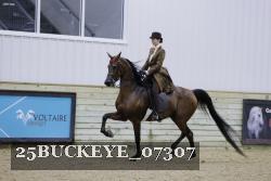 25BUCKEYE_07307 thumbnail