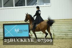 25BUCKEYE_07309 thumbnail