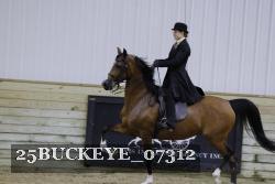 25BUCKEYE_07312 thumbnail