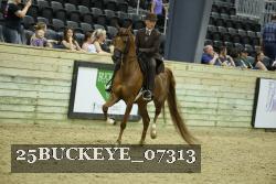 25BUCKEYE_07313 thumbnail