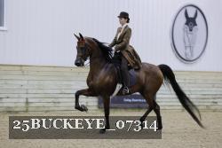 25BUCKEYE_07314 thumbnail