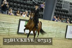25BUCKEYE_07315 thumbnail