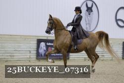 25BUCKEYE_07316 thumbnail