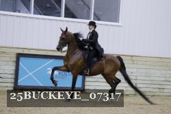 25BUCKEYE_07317 thumbnail