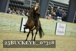 25BUCKEYE_07318 thumbnail