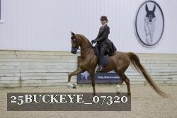 25BUCKEYE_07320 thumbnail