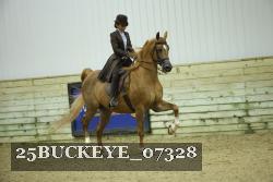 25BUCKEYE_07328 thumbnail