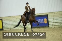 25BUCKEYE_07329 thumbnail