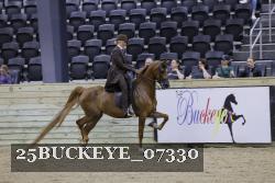 25BUCKEYE_07330 thumbnail